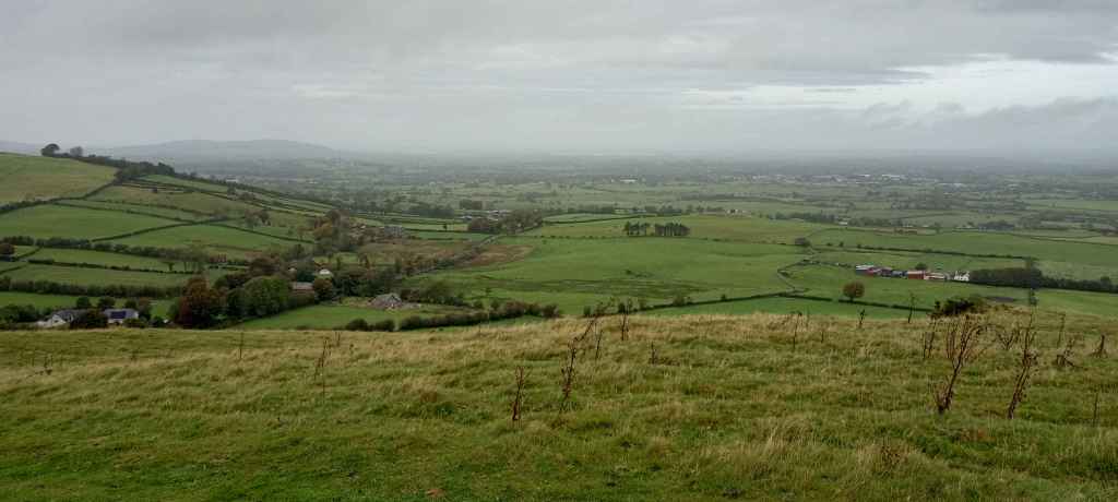 Tight Beam Volume 11 December&nbsp;2024